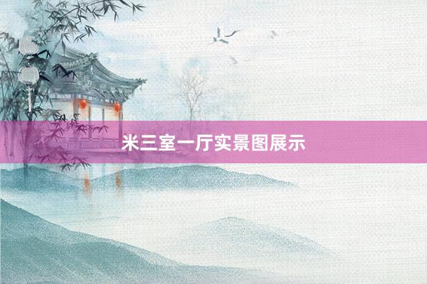 米三室一厅实景图展示