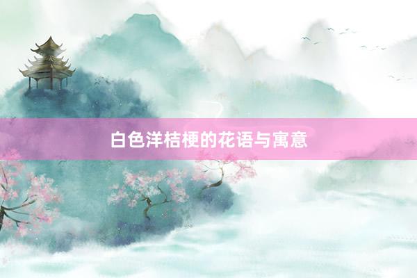 白色洋桔梗的花语与寓意